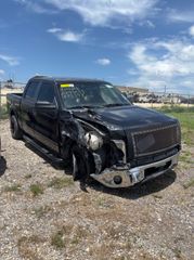 2013 Ford F-150 XLT - Exterior Side Passenger
